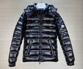 M Shiny Puffer